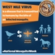 Mosquito Hunters of Hinsdale-Naperville-Bolingbrook-Downers Grove