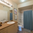Canyon Oaks at Windemere Apartments - Apartments