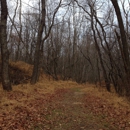 Plainsboro Preserve - Nature Centers