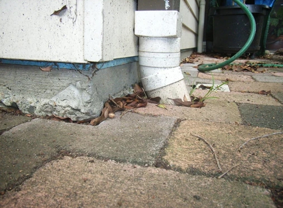 Systems Pest Management Pty Ltd - Thornleigh, NSW