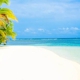Alexander Travel