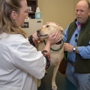 Oak Forest Veterinary Hospital - Animal Shelters