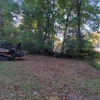 Bigfoot Forestry - Charlotte gallery