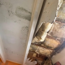 SERVPRO of Beverly Hills / Westwood - Fire & Water Damage Restoration