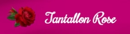 Tantallon Rose - Escort Services Social (All states except VIC & QLD)