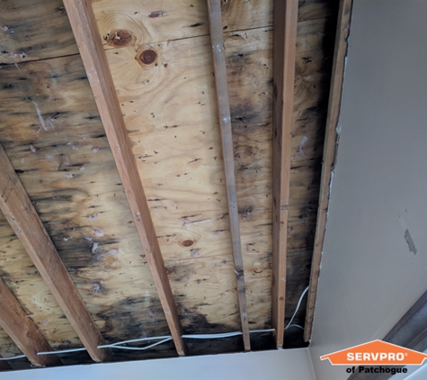 SERVPRO of Patchogue - Yaphank, NY