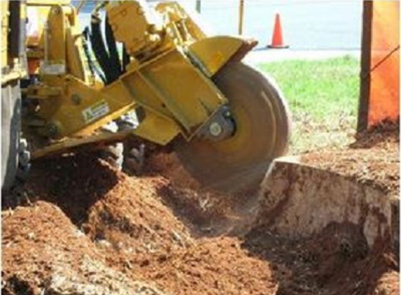 3Way Tree Services Pty Ltd - Malvern East, VIC