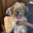 Woofie's of Columbia - Pet Grooming