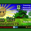 Tree Rite Arborists gallery