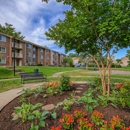 Stony Brook Apartments - Apartments