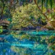 Staybridge Suites Ocala-Near Equestrian-Aquatics by IHG