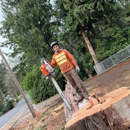 Ivan's Tree Removal Services - Tree Service