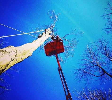 Parshall Tree Service LLC - Traverse City, MI