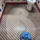 Elite Carpet Tile and Grout Cleaning