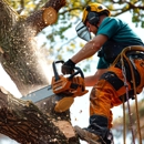 The Giving Tree Service - Tree Service