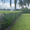 Green Earth Landscaping & Lawn Care - West Palm Beach gallery