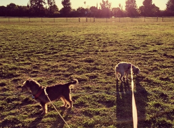 Valley Vacay Dog Sitting - Porter Ranch, CA