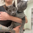 VCA Ponti Animal Hospital - Veterinarians