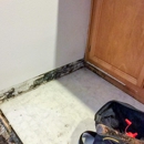 SERVPRO of Tri-Cities - Water Damage Restoration