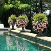 Good Natured Gardening gallery