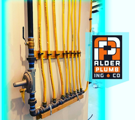 Alder Plumbing, Heating and Air - Loveland, CO