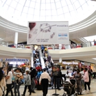 The Avenues