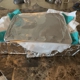 Schnider Funeral Home & Cremation Services