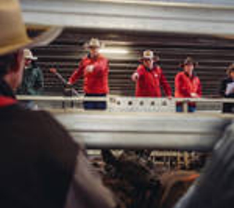 Bowyer & Livermore Pty Ltd - Bathurst, NSW
