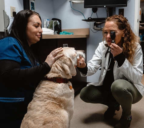 VCA Animal Hospital of Santa Cruz - Santa Cruz, CA