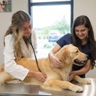 Pet Paradise St. Johns - WGV
