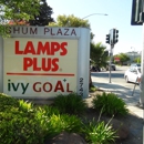 Ivy Goal Education - Tutoring