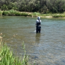 Reel Good Fishing - Fishing Bait