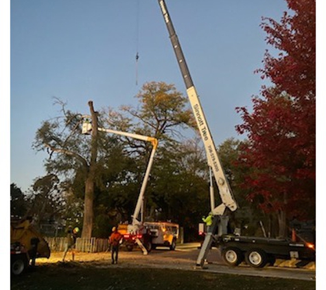 Sinnott Tree Services - Mc Cook, IL