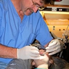 Tosch, Ronald, DDS gallery