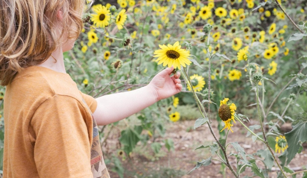 A Joy Story Photography - Georgetown, TX