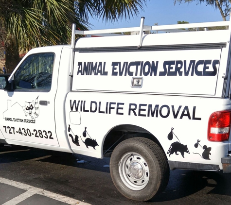 Animal Eviction Services - Saint Petersburg, FL