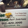 Bee Green Pest Solutions-Pest Control gallery