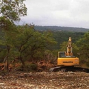 Texas Land Clearing Services Cedar Beetle - Grading Contractors