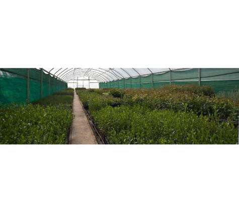 McKindlays Riverine Nursery - Moama, NSW