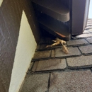 Critter Control - Pest Control Services