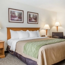 Quality Inn Selinsgrove - Motels