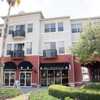 100% Chiropractic - Tampa gallery