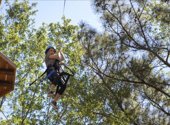 Texas TreeVentures - The Woodlands, TX