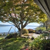 Adept Tree Care gallery