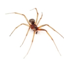 Harry Lacy Chemical - Pest Control Equipment & Supplies