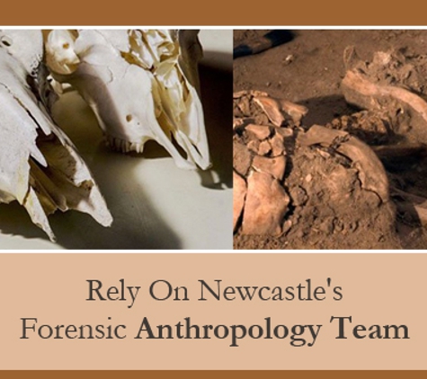 McCardle Cultural Heritage - New Lambton, NSW. Rely On Newcastle's Forensic Anthropology Team