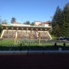 Redwood Bowl gallery