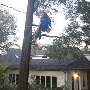 Eric Ecklund's Tree Service