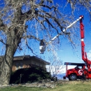Schra Tree Care - Arborists