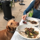 True Food Kitchen